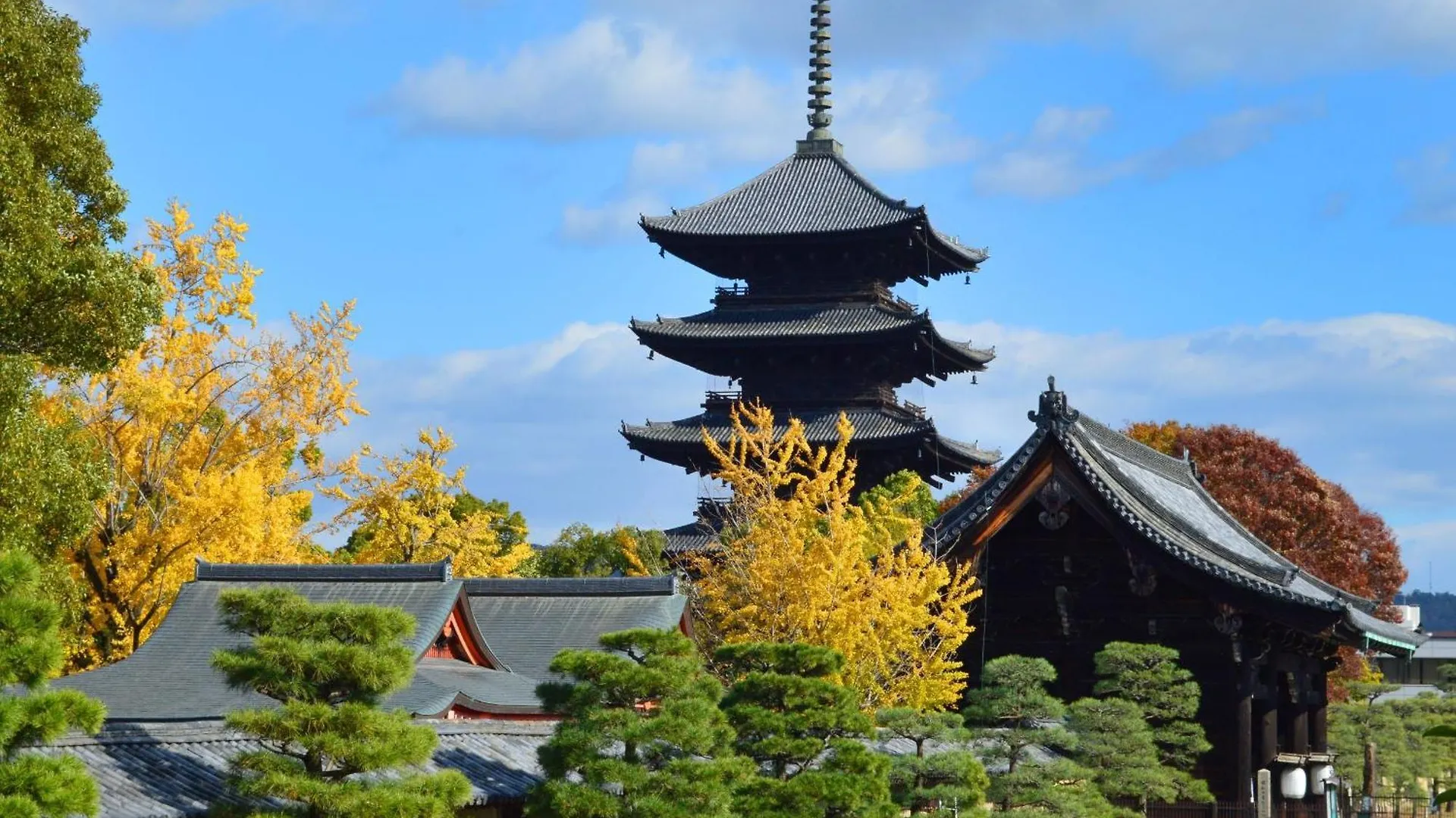 Stay Sakura Kyoto Higashi Hongan-Ji I Japan