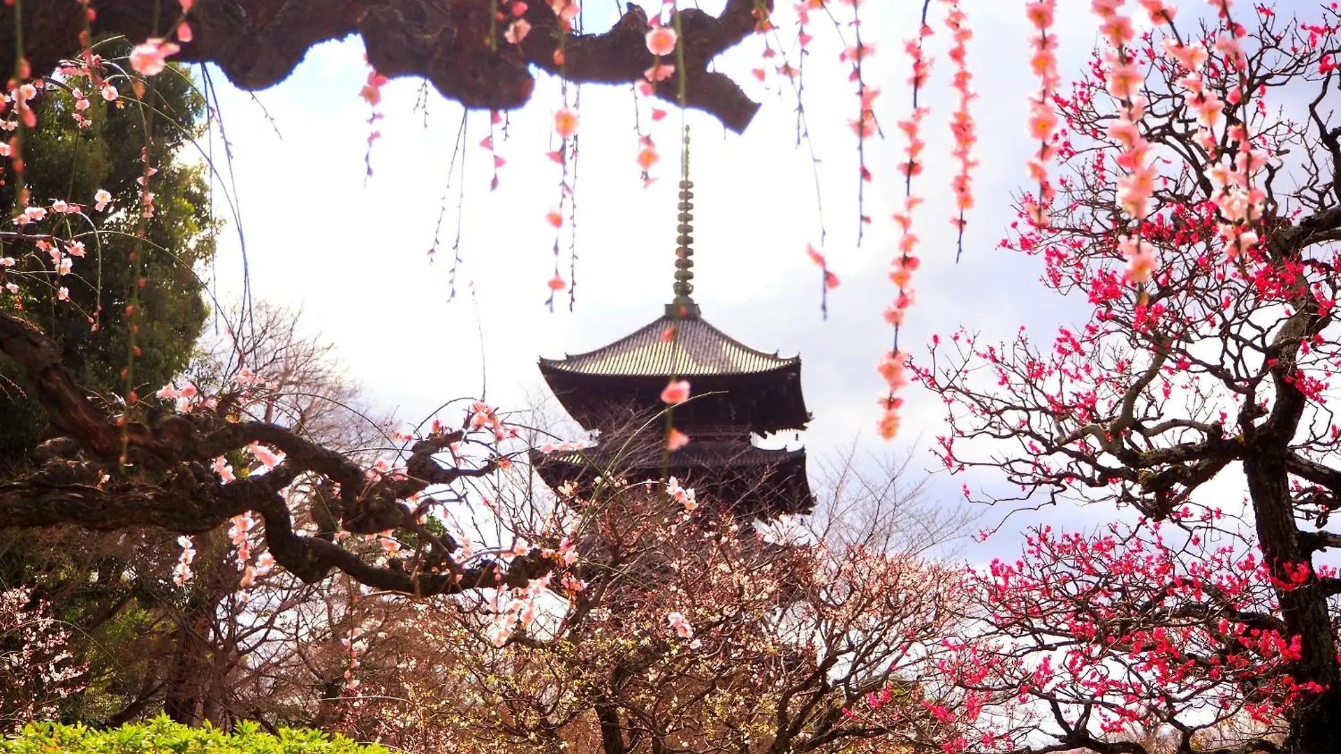 Stay Sakura Kyoto Higashi Hongan-Ji I Aparthotel