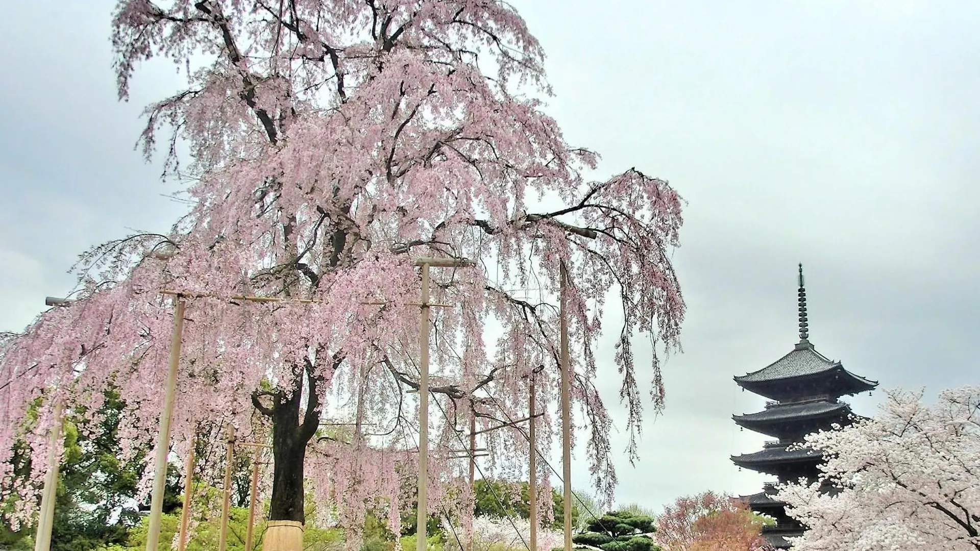Aparthotel Stay Sakura Kyoto Higashi Hongan-Ji I