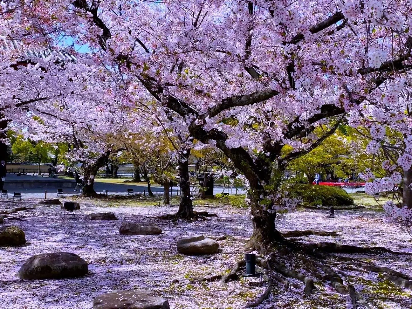 *** Aparthotel Stay Sakura Kyoto Higashi Hongan-Ji I Japan